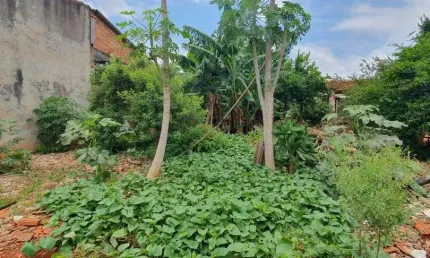 Terreno à venda, 250 m² por R$ 80.000,00 - Marabá - Londrina/PR