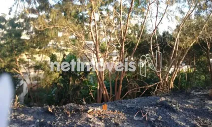 Terreno à venda na Rua Antônio Ferreira da Cruz, Ana Lúcia (Venda Nova), Belo Horizonte