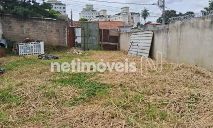 Terreno à venda na Rua Cheflera, Frei Leopoldo, Belo Horizonte