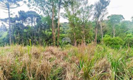 Terreno comercial à venda na RODOVIA DO CONTORNO NORTE, 10500, Jardim Alvorada, Almirante Tamandaré, 5181 m2 por R$ 830.000