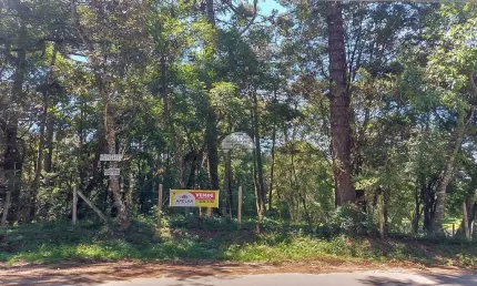 Terreno à venda na Rua Pedro Foggiatto, 000, Aristocrata, São José dos Pinhais por R$ 980.000
