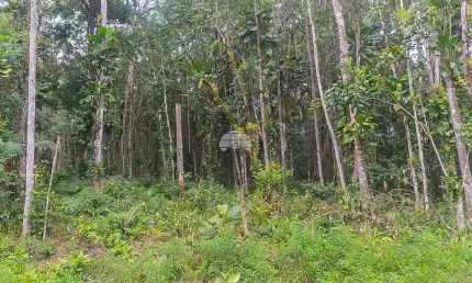 Terreno à venda na RUA ESTRADA DO FAISQUERINHA, 15, Faisqueira, Antonina, 23781 m2 por R$ 99.900
