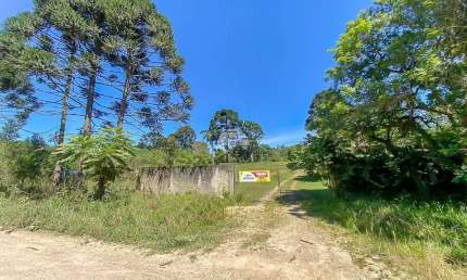 Chácara / sítio à venda na ESTRADA CHIMBOVEIRO, 000, Chimboveiro, Mandirituba, 57000 m2 por R$ 1.200.000