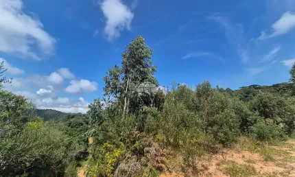 Terreno à venda na Rua Carlos Alberto Ribeiro, SN, Centro, Bocaiúva do Sul por R$ 85.000
