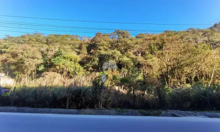 Terreno à venda na rua comendador orlando ceccon, centro, colombo por r$ 250.000