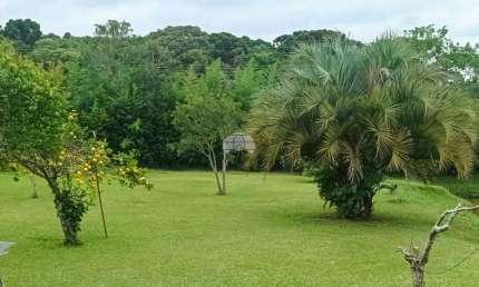 Chácara / sítio à venda na RUA ALBERTO DYBAS, 333, Jardim Keli Cristina, Campo Largo, 59000 m2 por R$ 6.900.000