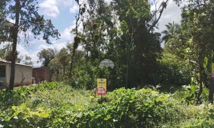 Terreno à venda na RUA JOINVILLE, 300, Palmital, Garuva por R$ 87.000