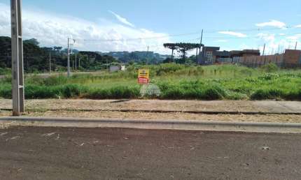 Terreno à venda na RUA EDINEI SEBASTIAO DOMINGUES, 220, Industrial, Guarapuava por R$ 145.000