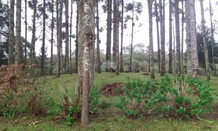 Chácara / sítio à venda na Estrada da Roseira, 200202, São Sebastião, São José dos Pinhais, 1365 m2 por R$ 180.000