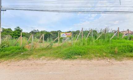 Terreno à venda na Avenida das Senzalas, 108, Jardim Apucarana, Almirante Tamandaré, 4357 m2 por R$ 230.000