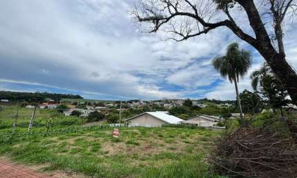 Terreno à venda na Rua Tocantins, 00, São Luiz, Pato Branco, 467 m2 por R$ 480.000