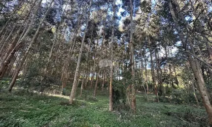 Terreno à venda na estrada zona rural, 00, zona rural, coronel vivida por r$ 1.398.000