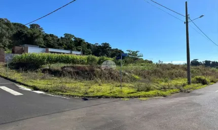 Terreno à venda na rua selvino palaro, 00, são luiz, pato branco por r$ 236.000