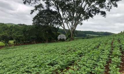Terreno à venda na DISTRITO ZONA RURAL, 00, Zona Rural, Pato Branco, 260170 m2 por R$ 2.800.000