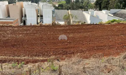 Terreno à venda na Rua Zeferina Artuzi Oltramari, 00, Fraron, Pato Branco, 288 m2 por R$ 125.000