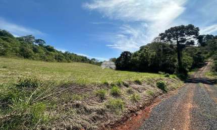 Chácara / sítio à venda na RUA PASSO DA ILHA, 00, Zona Rural, Pato Branco, 20000 m2 por R$ 850.000