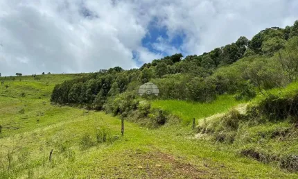 Chácara / sítio à venda na distrito zona rural, 00, zona rural, pato branco, 121000 m2 por r$ 480.000