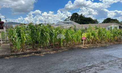 Terreno à venda na Rua Benjamin Constant, 00, Jardim Primavera, Pato Branco, 418 m2 por R$ 350.000