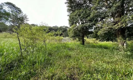 Chácara / sítio à venda na COMUNIDADE FAZENDA DA BARRA, 00, Zona Rural, Pato Branco, 55660 m2 por R$ 550.000