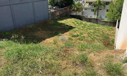 Terreno à venda na Rua Argentina, 00, Jardim das Américas, Pato Branco, 588 m2 por R$ 499.000