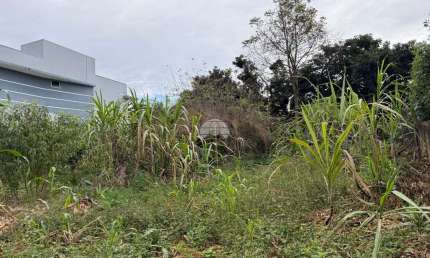 Terreno à venda na Rua Leôncio Amadori, 00, Aeroporto, Pato Branco, 514 m2 por R$ 349.000
