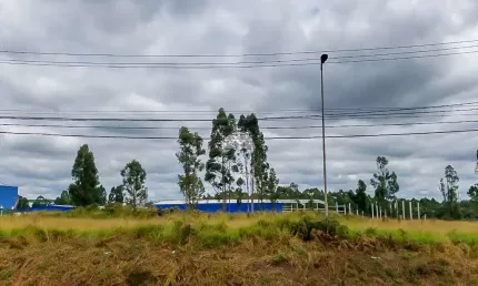 Terreno comercial à venda na RUA HORTO FLORESTAL DO CARA-CARA, 00, Cará-cará, Ponta Grossa, 12000 m2 por R$ 4.200.000