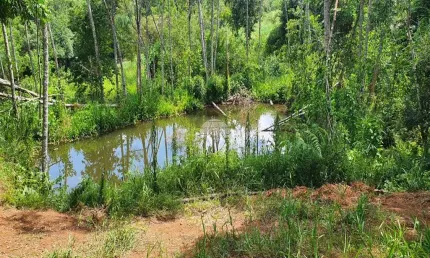 Chácara / sítio à venda na RUA PASSO DA ILHA, 00, Zona Rural, Pato Branco, 20000 m2 por R$ 349.000