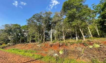 Terreno comercial à venda na Rua Vicente de Col, 00, Pagnoncelli, Pato Branco, 4560 m2 por R$ 1.498.000