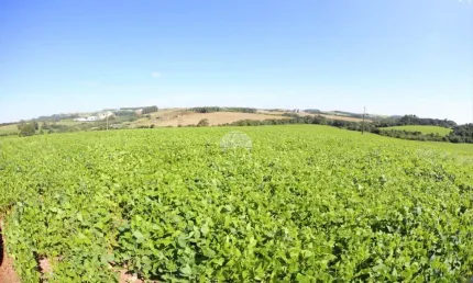 Terreno à venda na COMUNIDADE SAO BRAZ, 00, São Braz, Pato Branco, 150040 m2 por R$ 4.500.000