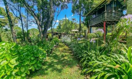 Chácara / sítio com 3 quartos à venda na Rua Faraó Cavalli, 1500, Campestre, Colombo, 93 m2 por R$ 1.600.000