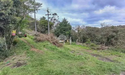 Chácara / sítio à venda na Rodovia BR-277, 277, Borda do Campo, São José dos Pinhais por R$ 2.350.000
