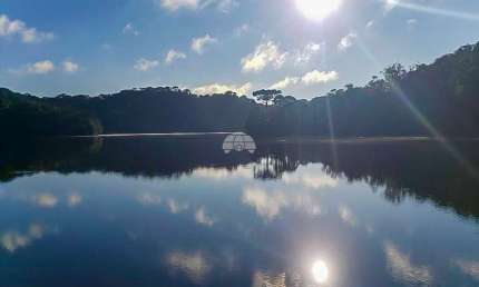 Chácara / sítio à venda na ESTRADA BR 376 KM 54, 54, Vossoroca, Tijucas do Sul por R$ 380.000
