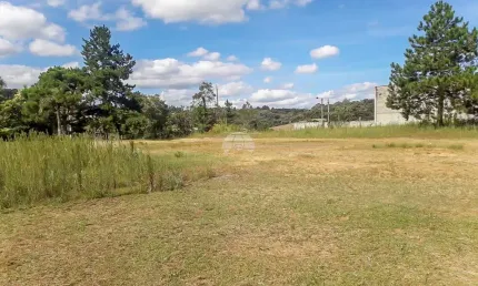 Terreno comercial à venda na RODOVIA GUMERCINDO BOZA KM 20, 14499, Samambaia, Campo Magro por R$ 2.500.000