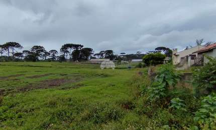 Terreno comercial à venda na Rua Pastor Adolfo Weidmann, 1542, Guarituba, Piraquara por R$ 499.000