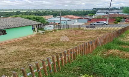 Terreno à venda na Rua Marlene Veiga da Rosa, 493, Miringuava, São José dos Pinhais, 241 m2 por R$ 195.000