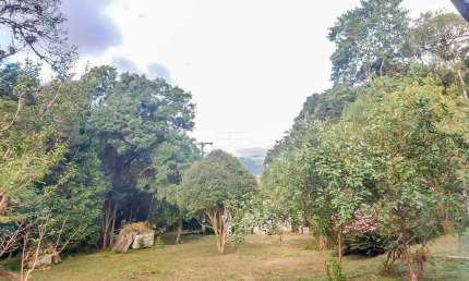 Chácara / sítio com 4 quartos à venda na ESTRADA PEDRO KRAMAR, 0000, Contenda, São José dos Pinhais, 100 m2 por R$ 1.200.000