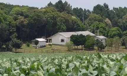 Chácara / sítio com 4 quartos à venda na Rodovia PR-151, 02, Centro, Palmeira por R$ 2.500.000