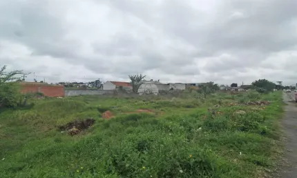 Terreno comercial para alugar na Rua Professora Nilce Terezinha Zanetti, 213, Jardim Paulista, Campina Grande do Sul, 600 m2 por R$ 1.250