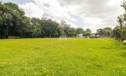 Terreno comercial para alugar na Rua Antônio Zanon, 09, Tatuquara, Curitiba, 3600 m2 por R$ 7.500