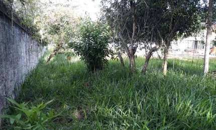 Terreno à venda, 1483 m² por R$ 1.000.000,00 - Jardim Passárgada I - Cotia/SP