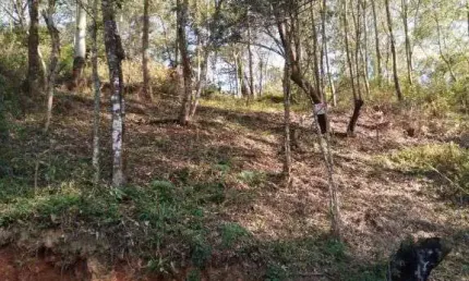 Terreno à venda, 700 m² por R$ 130.000,00 - Parque Alvorada - Santana de Parnaíba/SP