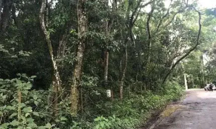 Terreno à venda, 2344 m² por R$ 350.000 - Chácaras do Peroba - Jandira/SP
