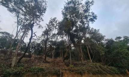 Terreno à venda, 3000 m² por R$ 490.000,00 - Residencial Santa Helena - Gleba I - Santana de Parnaíba/SP