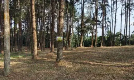 Terreno à venda, 1156 m² por R$ 850.000,00 - Residencial Morada dos Lagos - Barueri/SP