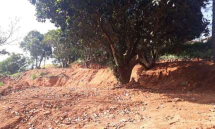 Terreno à venda, 630 m² por R$ 350.000,00 - Jardim Professor Benoá - Santana de Parnaíba/SP