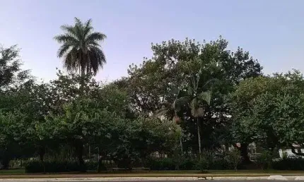 Terreno à venda, 760 m² por R$ 3.200.000,00 - Morumbi - São Paulo/SP