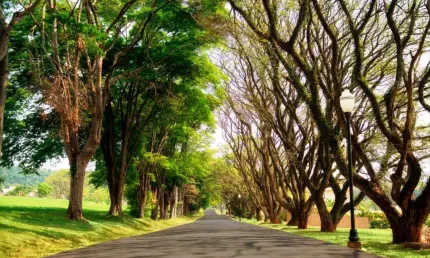 Terreno em condomínio fechado à venda na Rod Bandeirantes, KM 72, Jardim Primavera, Itupeva