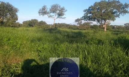 Fazenda à venda na Cocalinho - MT, Centro, Cocalinho, 1350 m2 por R$ 23.000.000