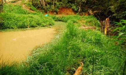 Chácara à venda, 48400 m² por R$ 1.750.000 - Area Industrial Mitra - Campina Grande do Sul/PR