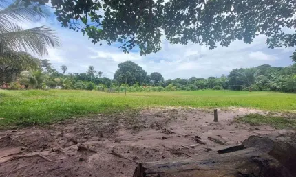 Chácara à Venda em Sitio do Apicum, São José de Ribamar - MA